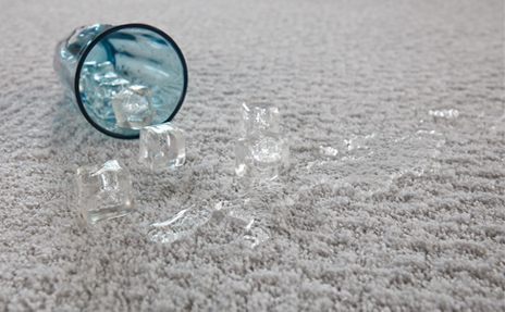 Water Resistant Carpet
